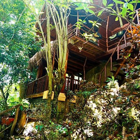 Jungle Face Inn Procida Dış mekan fotoğraf