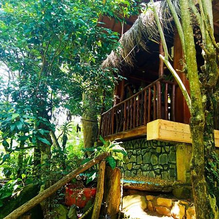Jungle Face Inn Procida Dış mekan fotoğraf