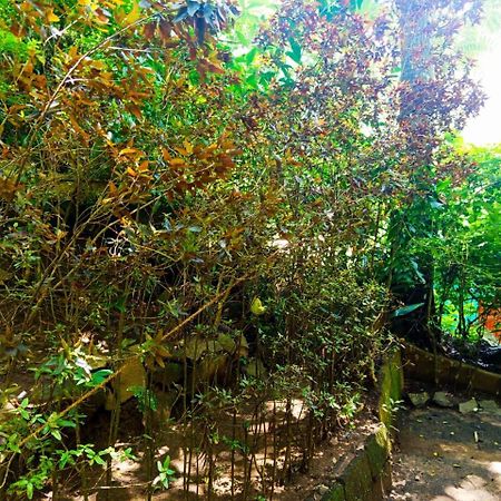 Jungle Face Inn Procida Dış mekan fotoğraf