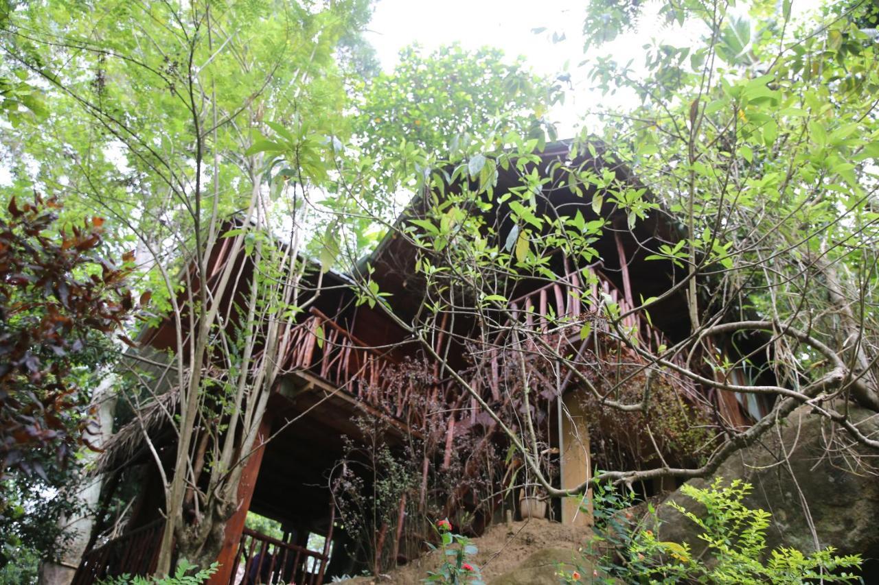 Jungle Face Inn Procida Dış mekan fotoğraf