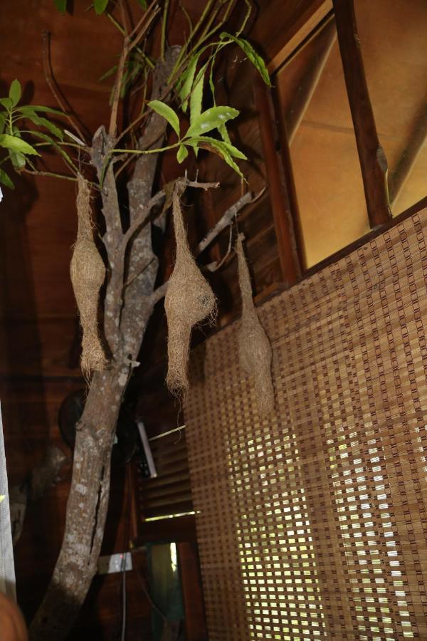 Jungle Face Inn Procida Dış mekan fotoğraf