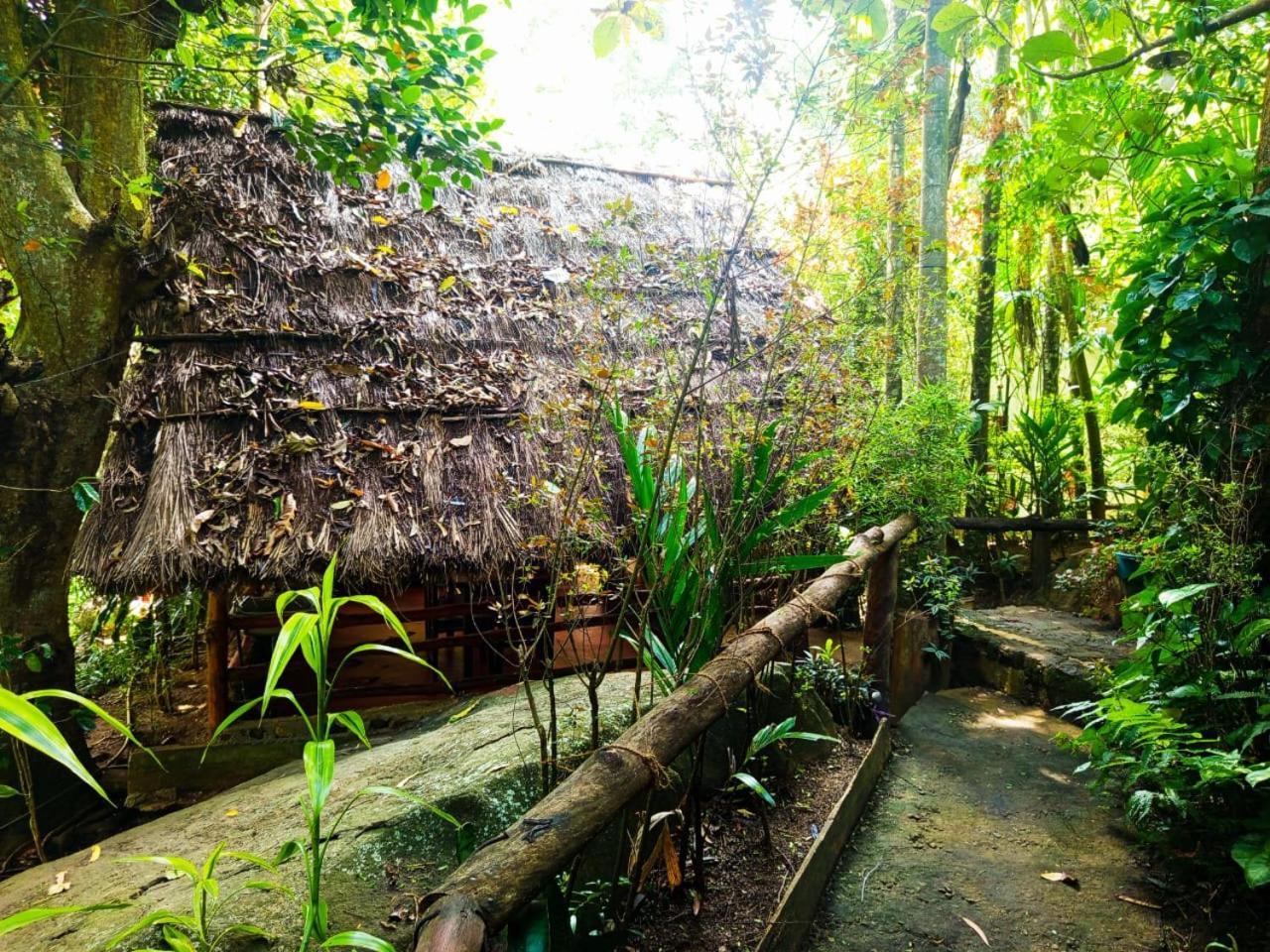 Jungle Face Inn Procida Dış mekan fotoğraf