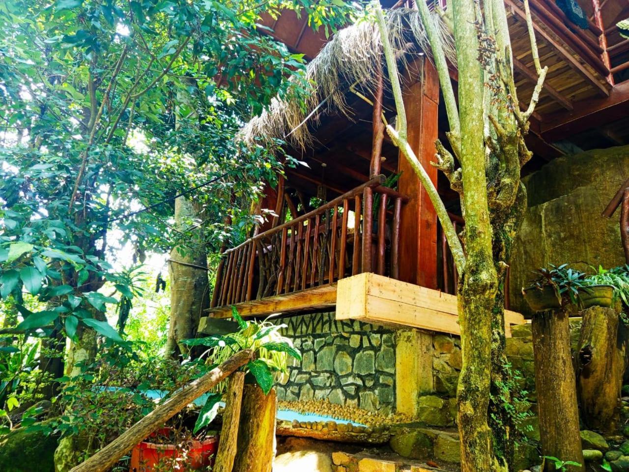 Jungle Face Inn Procida Dış mekan fotoğraf