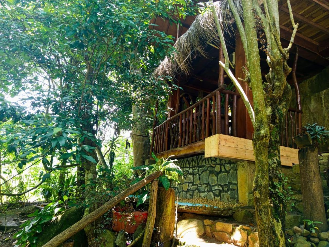 Jungle Face Inn Procida Dış mekan fotoğraf