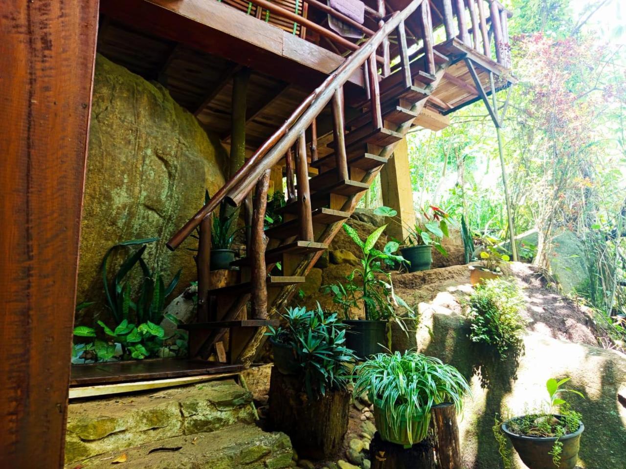 Jungle Face Inn Procida Dış mekan fotoğraf