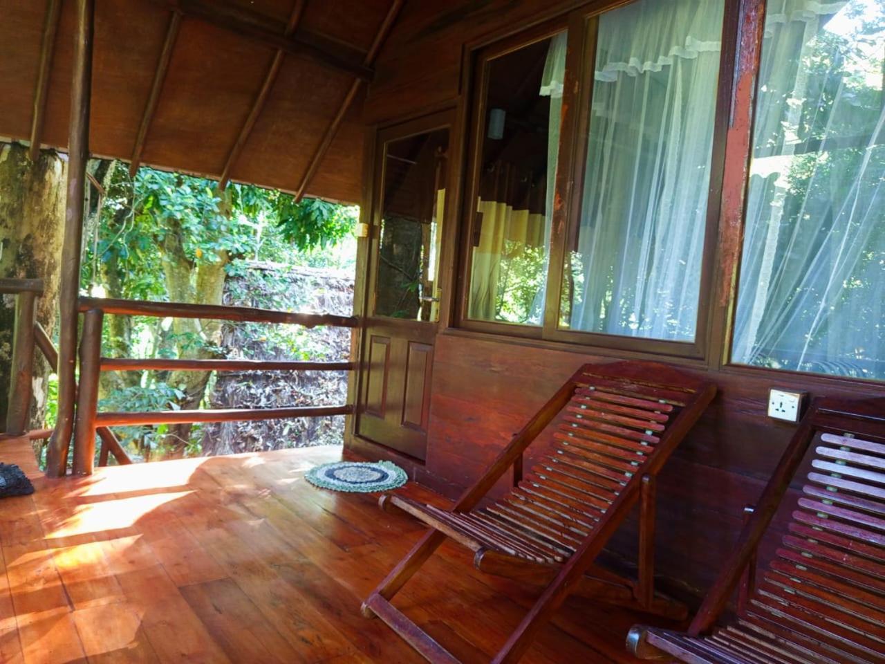 Jungle Face Inn Procida Dış mekan fotoğraf