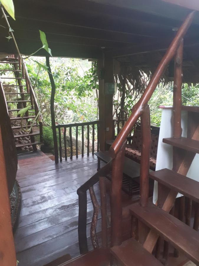 Jungle Face Inn Procida Dış mekan fotoğraf