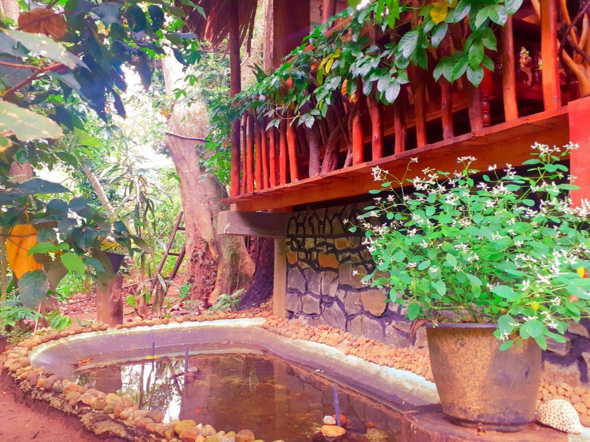 Jungle Face Inn Procida Dış mekan fotoğraf