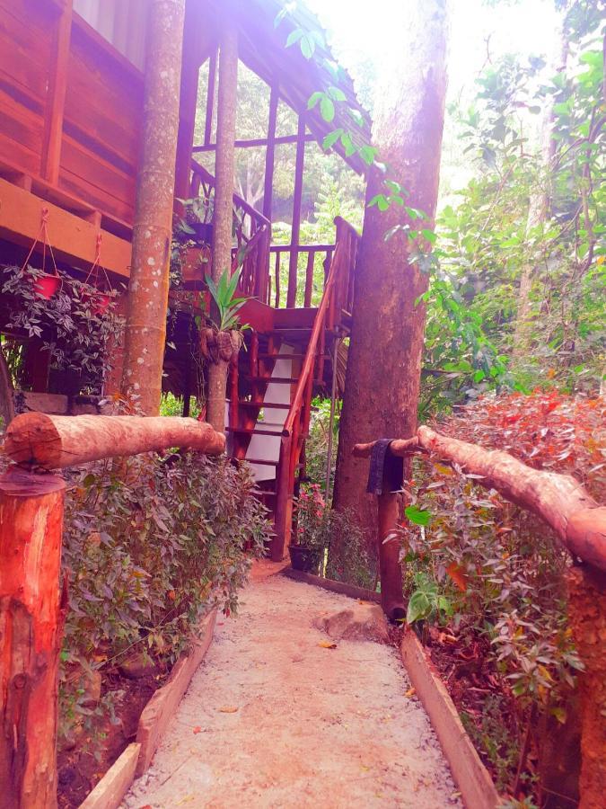 Jungle Face Inn Procida Dış mekan fotoğraf